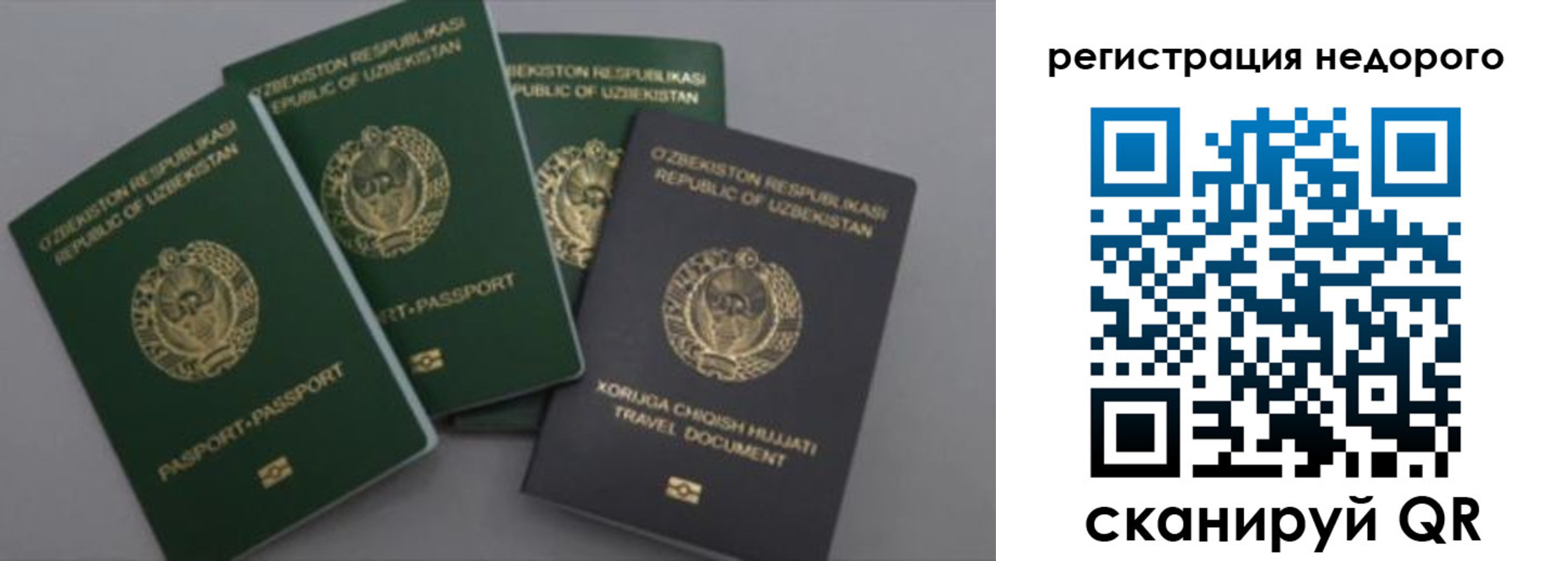 пропишу в квартире в Николаевске